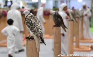 2024年阿布扎比猎鹰狩猎、户外用品、文化保护展<br>ADIHEX 2024 - 图片 2