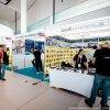 2024年巴拿马汽车配件和轮胎展览会<br>Latin Auto Parts Expo/Latin Tyre Expo 2024 - 图片 5