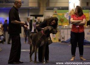 2024年加拿大宠物用品展览会<br>The National Pet Industry Show 2024 - 图片 4