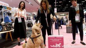 2024年新加坡宠物用品展览会<br>Pet Expo Singapore 2024 - 图片 2