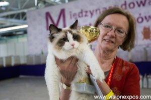 2024年波兰宠物用品和兽医展览会<br>Animals & Veterinary Days 2024 - 图片 2