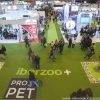 2024年西班牙宠物用品展览会<br>iberzoo Propet 2024 - 图片 6