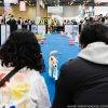 2024年韩国宠物用品展览会<br>K-pet MEGAZOO 2024 - 图片 3