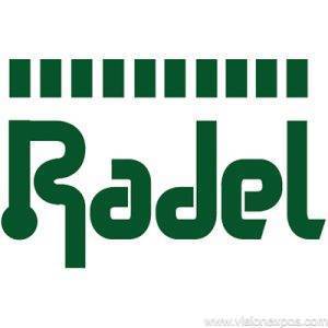 2025年俄罗斯圣彼得堡国际电子元器件及仪器仪表展览会<br>Radel 2025