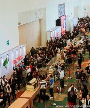2025年墨西哥墨西哥城宠物用品展览会<br>Latinzoo Mexico 2025 - 图片 3