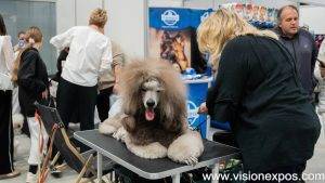 2026年波兰沙华宠物用品展览会<br>Zoological Fair 2026 - 图片 4