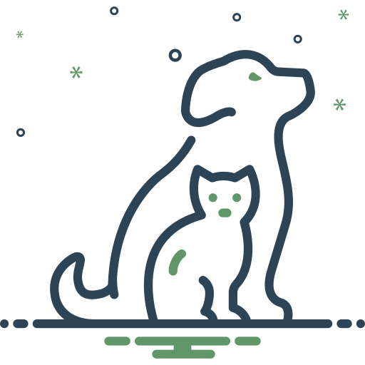 主页插图10