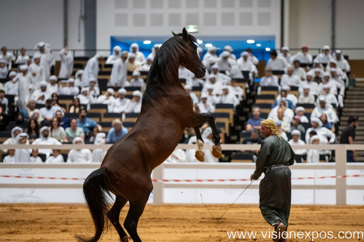 2026年中东阿联酋狩猎及户外用品展览会<br> Adihex 2026插图1 2026年中东阿联酋狩猎及户外用品展览会<br> Adihex 2026插图1
