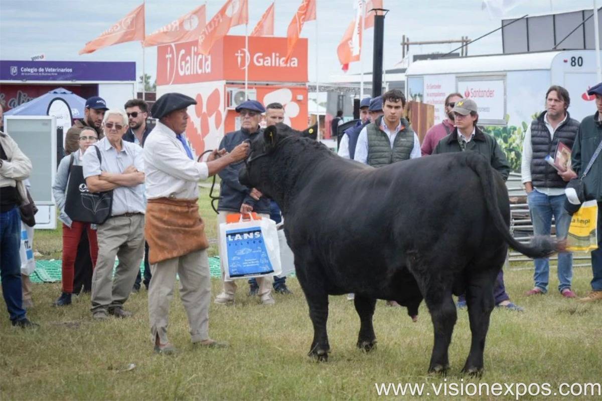 2026年阿根廷农业展览会<br>Expoagro 2026插图3 2026年阿根廷农业展览会<br>Expoagro 2026插图3