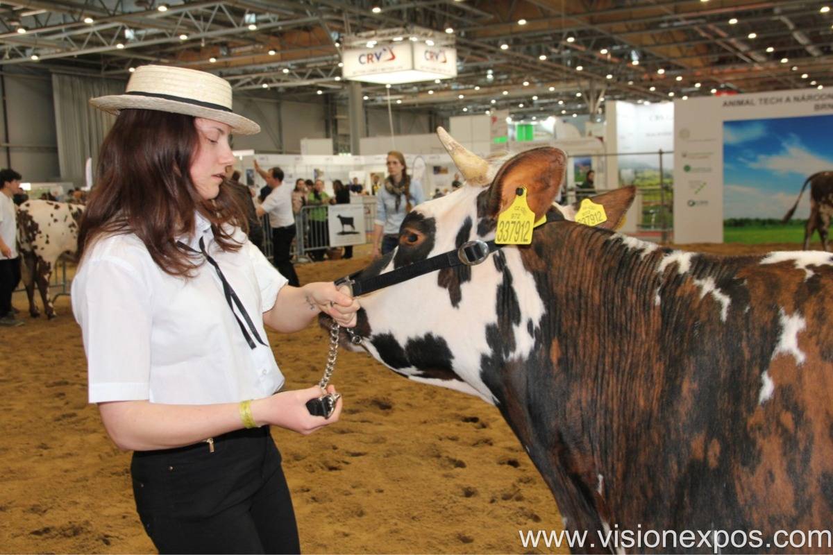 2026年巴西农机展览会<br>AGRISHOW 2026插图4 2026年巴西农机展览会<br>AGRISHOW 2026插图4