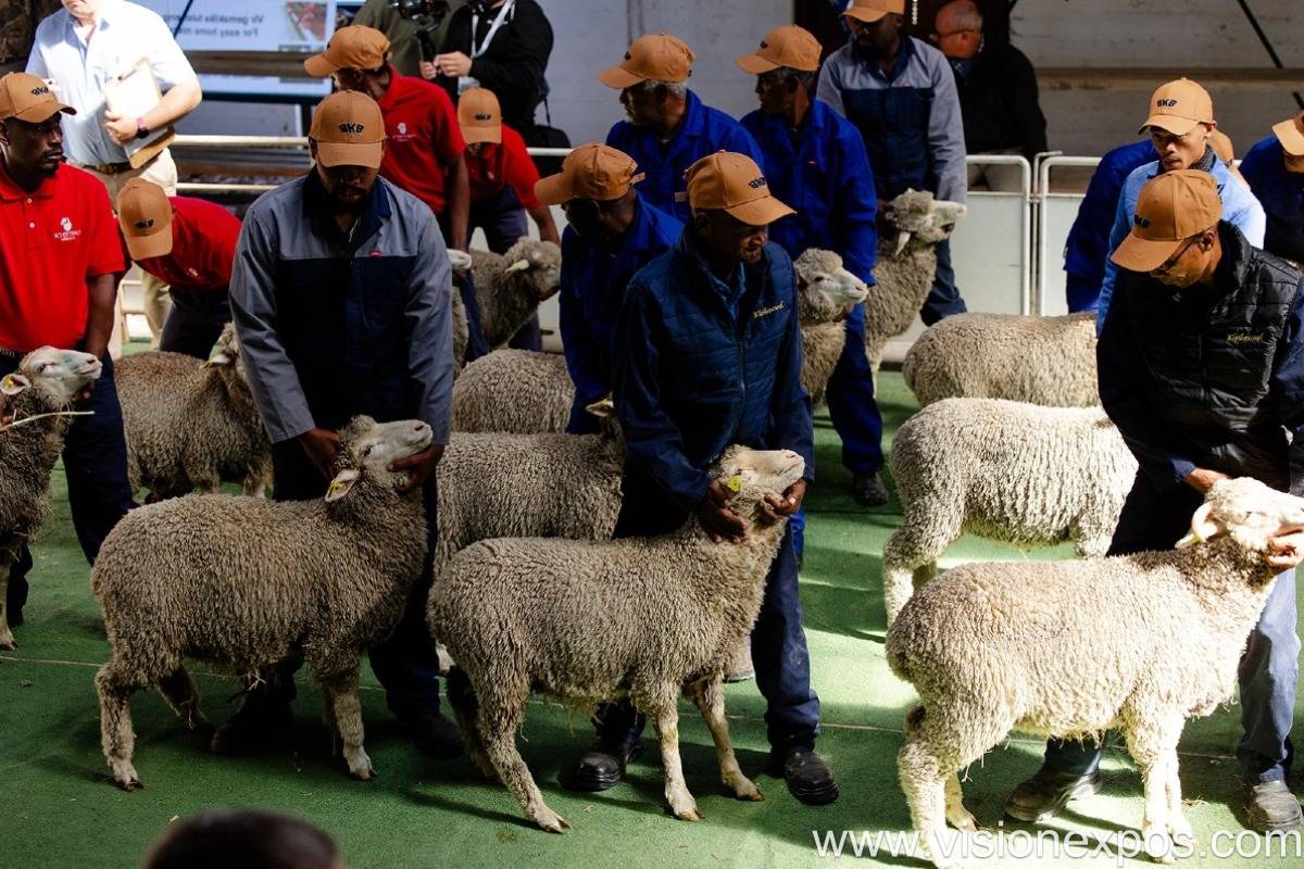 2026年非洲南非农业机械展会<br>NAMPO 2026插图1 2026年非洲南非农业机械展会<br>NAMPO 2026插图1