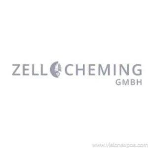 2026年德国纸浆设备造纸原料纸制品展览会<br>ZELLCHEMING Expo 2026