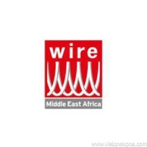 2027年埃及开罗线材线缆制造加工设备展览会<br>Wire Middle East Africa 2027