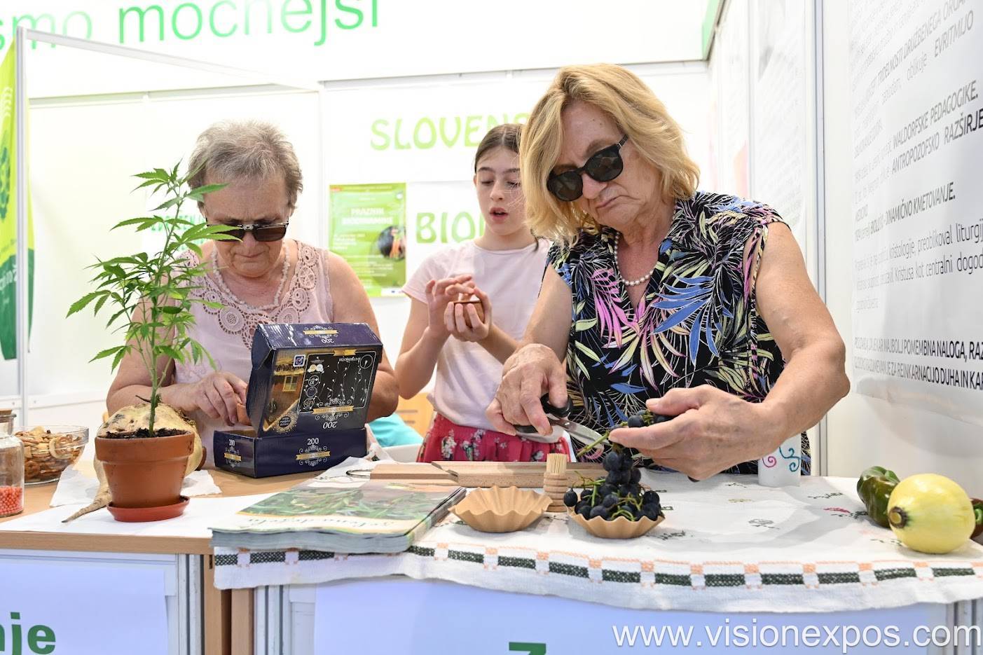 2026年斯洛文尼亚农业机械畜牧设备农产食品展<br>AGRA SLOVENIA 2026插图4 2026年斯洛文尼亚农业机械畜牧设备农产食品展<br>AGRA SLOVENIA 2026插图4