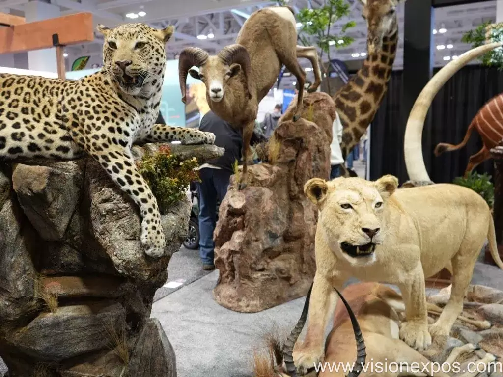2027年美国纳什维尔狩猎武器弹药枪械户外用品展<br>SCI CONVENTION 2027插图6 2027年美国纳什维尔狩猎武器弹药枪械户外用品展<br>SCI CONVENTION 2027插图6