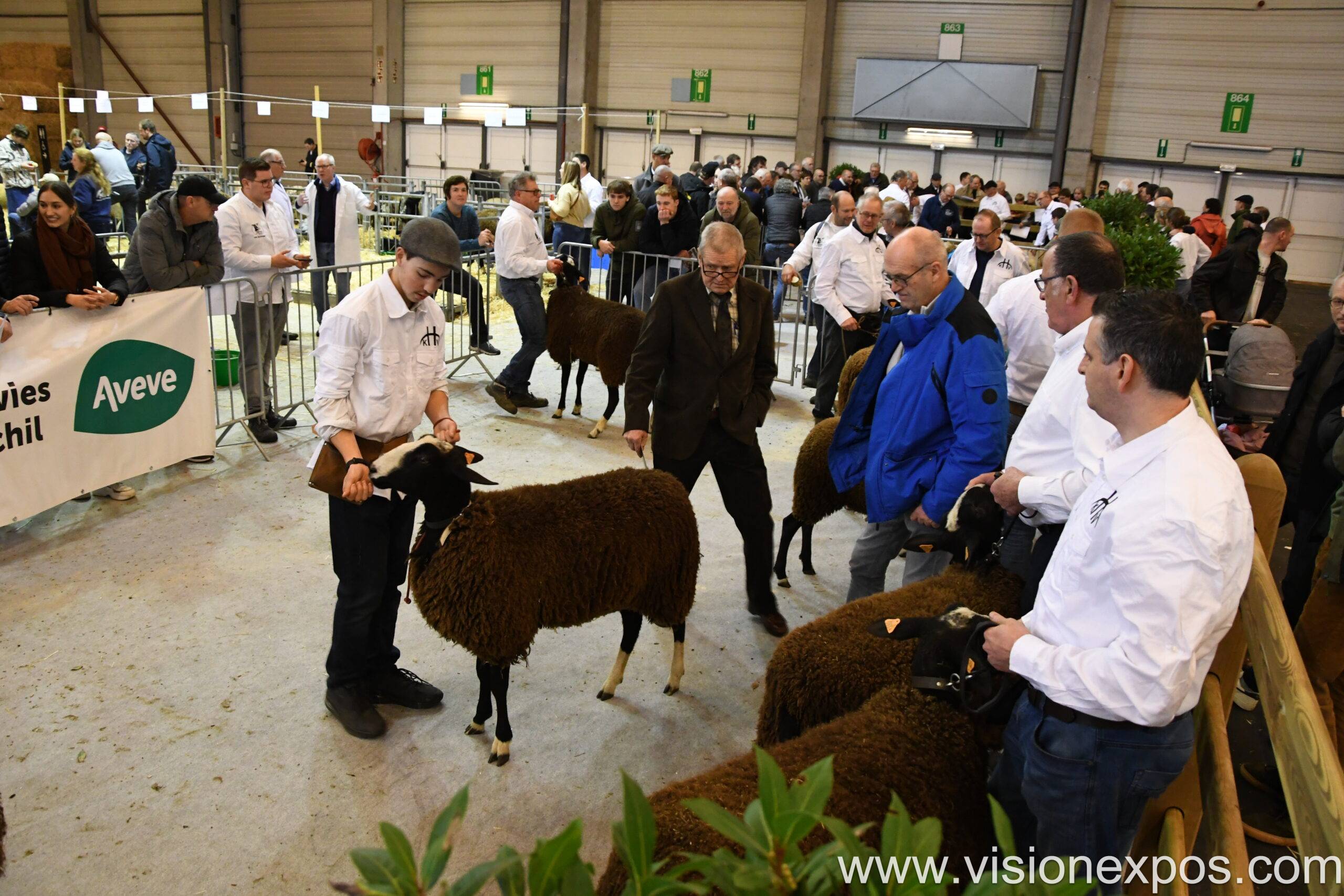 2027年比利时根特农业机械畜牧养殖设备展览会<br>AGRIFLANDERS 2027插图6 2027年比利时根特农业机械畜牧养殖设备展览会<br>AGRIFLANDERS 2027插图6
