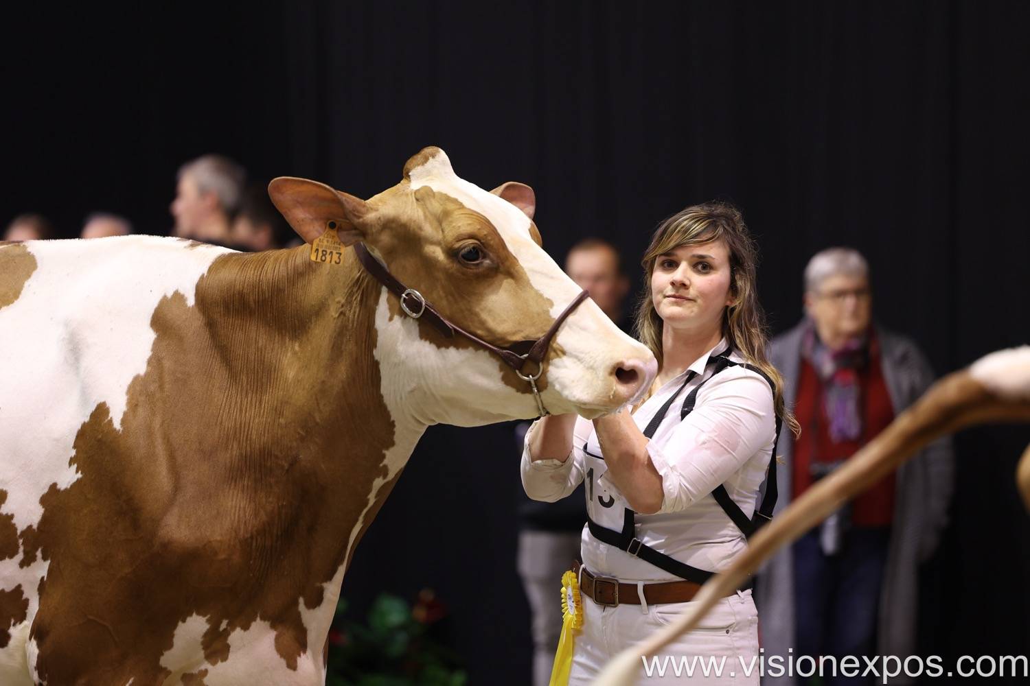 2027年比利时根特农业机械畜牧养殖设备展览会<br>AGRIFLANDERS 2027插图5 2027年比利时根特农业机械畜牧养殖设备展览会<br>AGRIFLANDERS 2027插图5