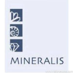 2026年德国柏林天然矿物原石珠宝宝石成品设备展<br>MINERALIS 2026