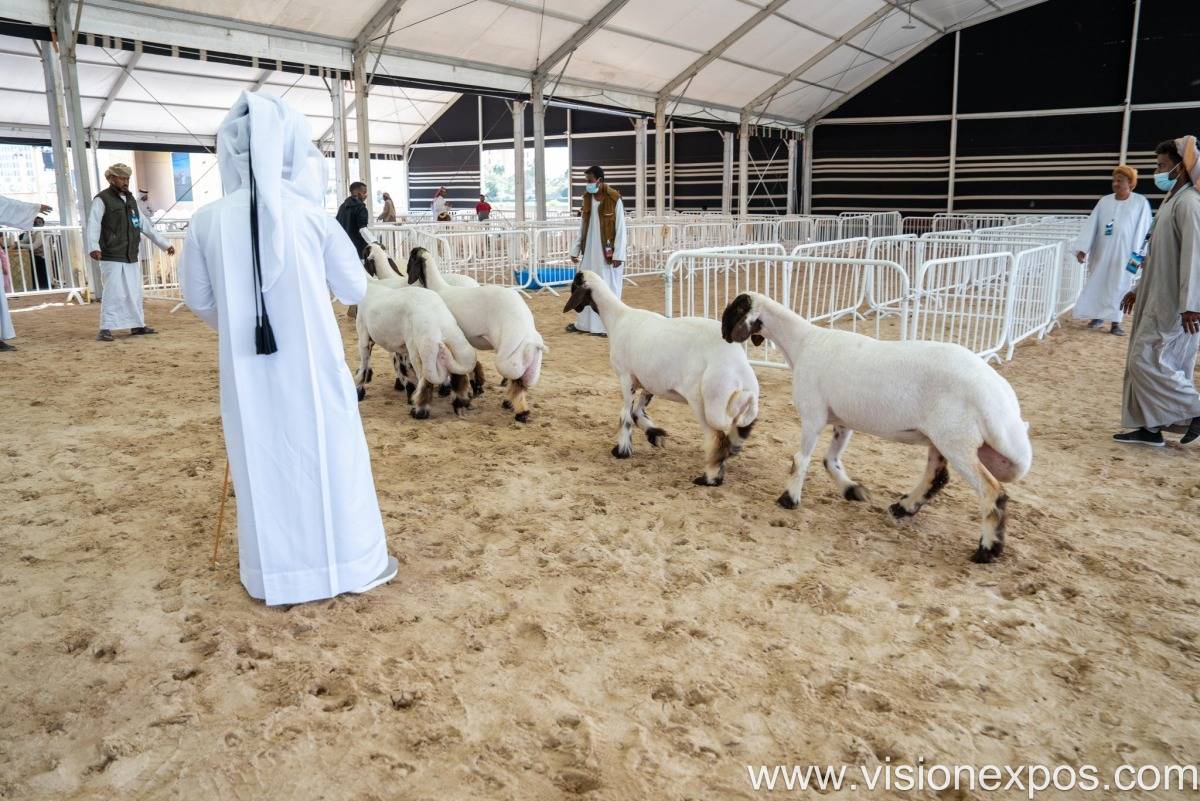 2026年卡塔尔多哈清真食品饮料及加工机械展<br>Halal Expo Qatar 2026插图3 2026年卡塔尔多哈清真食品饮料及加工机械展<br>Halal Expo Qatar 2026插图3