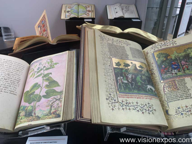 2026年法国巴黎古籍珍稀出版物产业技术展览会<br>LIVRES RARES & ARTS GRAPHIQUES 2026插图6 2026年法国巴黎古籍珍稀出版物产业技术展览会<br>LIVRES RARES & ARTS GRAPHIQUES 2026插图6