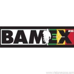 2026年马里巴马科国际军警防务设备安全展<br>BAMEX 2026