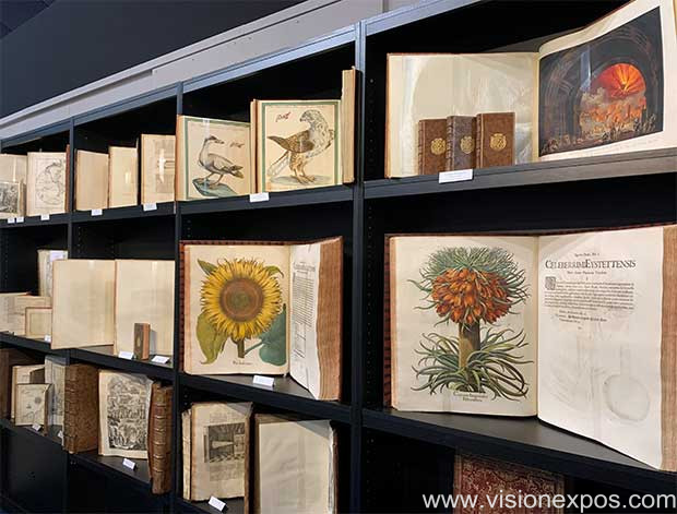 2026年法国巴黎古籍珍稀出版物产业技术展览会<br>LIVRES RARES & ARTS GRAPHIQUES 2026插图4 2026年法国巴黎古籍珍稀出版物产业技术展览会<br>LIVRES RARES & ARTS GRAPHIQUES 2026插图4