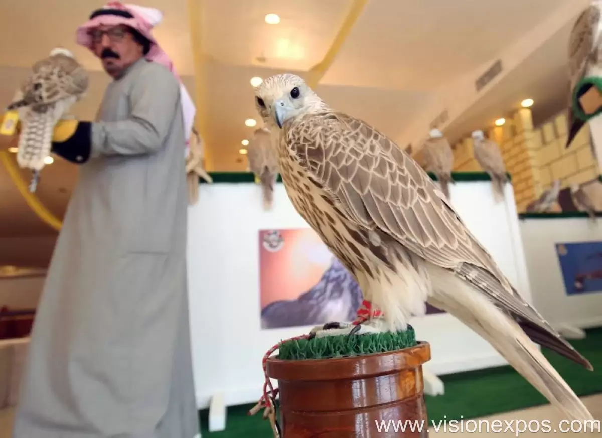 2026年科威特猎鹰装备户外狩猎露营用品展<br>4th Kuwait Exh. For Falcons, Falconry Accessories, Land and Sea Travel 2026插图5 2026年科威特猎鹰装备户外狩猎露营用品展<br>4th Kuwait Exh. For Falcons, Falconry Accessories, Land and Sea Travel 2026插图5