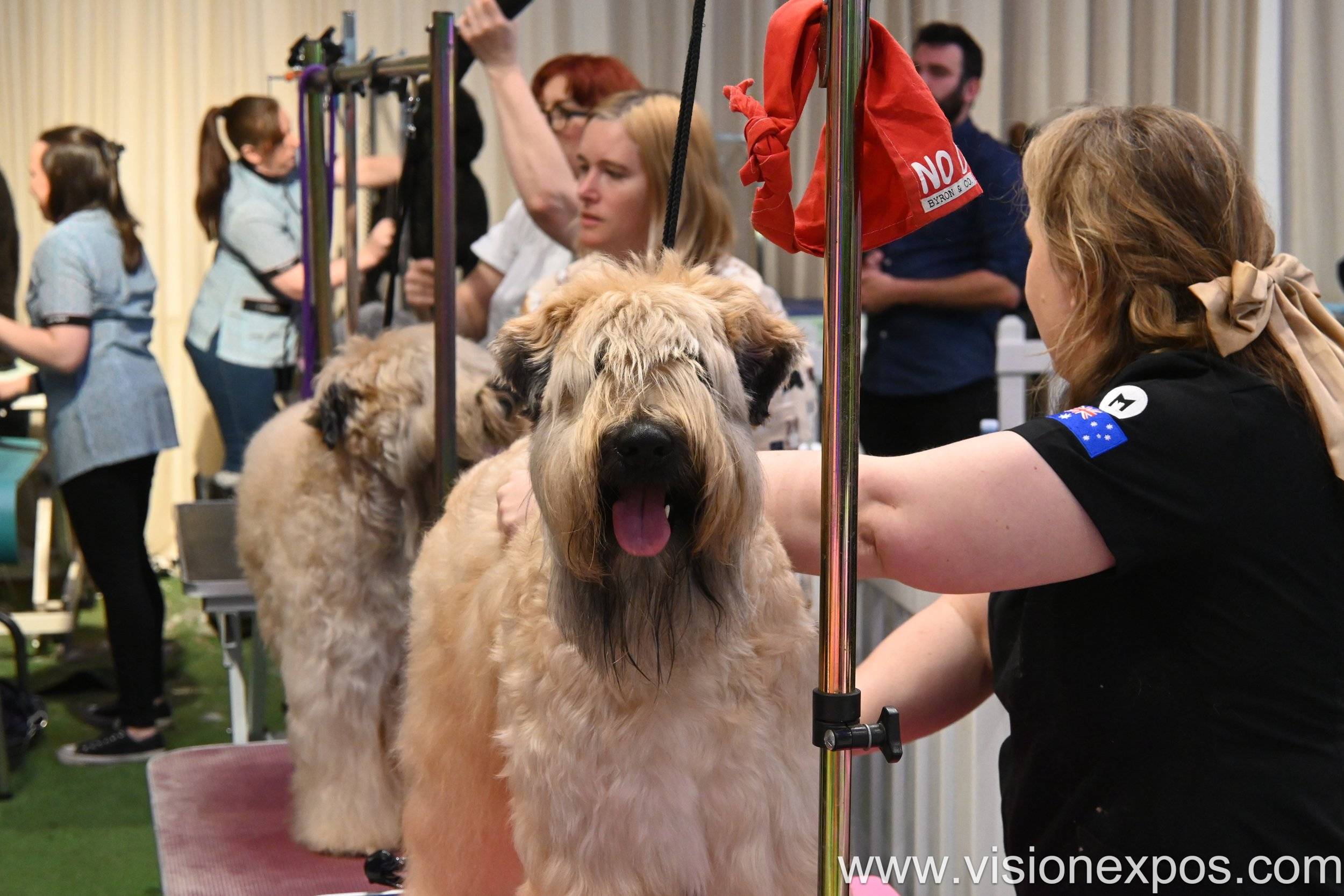 2026年澳洲澳大利亚宠物展览会<br>Aus Pet Industry Expo 2026插图4 2026年澳洲澳大利亚宠物展览会<br>Aus Pet Industry Expo 2026插图4