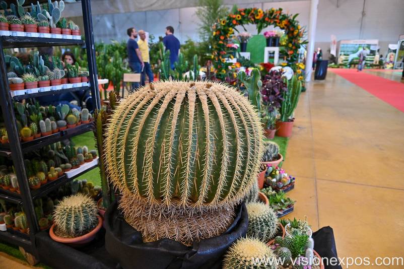 2027年葡萄牙圣塔伦园艺花卉贸易资材展<br>Lusoflora 2027插图5 2027年葡萄牙圣塔伦园艺花卉贸易资材展<br>Lusoflora 2027插图5
