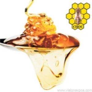 2027年塞尔维亚贝尔格莱德养蜂设备及蜂产品展<br>The Governmental Beekeeping Fair 2027